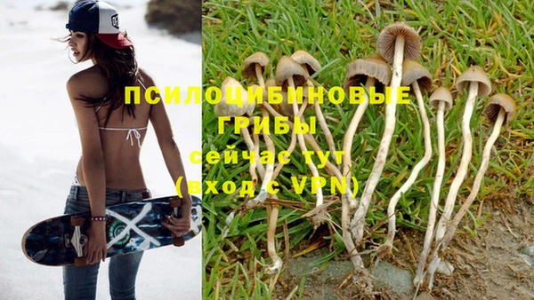 хмурый Армянск