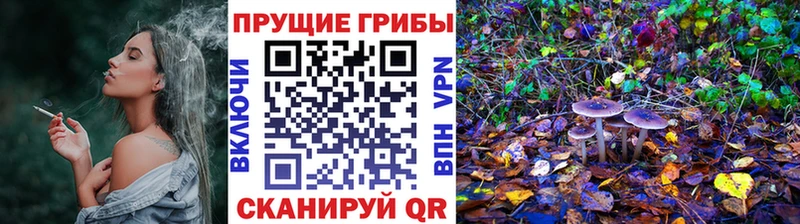 Псилоцибиновые грибы прущие грибы Унеча